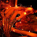Miniatyrbillede 4 af 4: Efterårslyskæder (2 pakker), 5M Mini LED Lysslynger Batteridrevet Udendørs og Indendørs Sølvtråd Dekorationslys til Halloween Soveværelse Jul
