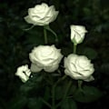 Miniatyrbild 1 av 5: LED-solcellslampor, konstgjorda rosblomsljus för utomhus trädgårdsdekoration, gård, uteplats, grav, kyrkogård, balkong, juldekoration - vit