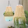 Miniatyrbilde 3 av 5: LED-vekstlys, Halo-lampe for innendørs plantevekst, 2/4/8 timers automatisk timer, for bonsai, sukkulenter og små planter