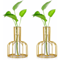Miniatyrbillede 1 af 5: Sæt med Mini Vaser - Små Vaser til Borddekoration - Moderne Bud Blomster Vase - Hydroponisk Glas Vase - Reagensglas (Guld) - Fei Yu