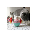 Miniatyrbild 2 av 5: Automatisk Katt Leksak Katt Leksak Interaktiv Katt Leksak Interaktiva Katt Leksaksbollar 180° Intelligent Roterande Automatisk Rullande (Stänger Ingår Inte)-Fei Yu