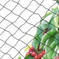 Miniatyrbillede 4 af 5: Fuglenet, 10 x 6 m bredt, fuglenet, stærkt havedamsbeskyttelsesnet, til frugt, grøntsager--