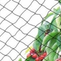 Pikkukuva 4 / 5: Lintuhäkkiverkko, 10 x 6 m leveä, lintuhäkkiverkko, vahva puutarhalammikon suojaverkko, hedelmille, vihanneksille--