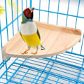 Miniatyrbild 1 av 5: Fågelpinne Plattform Stativ Trä för Små Djur Papegoja Undulat Kakadu Undulat Gerbil Råtta Mus Chinchilla Hamster Bur Tillbehör Ex