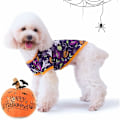 Pikkukuva 2 / 2: Halloween-koiran asut (taikurin hattu, XS) -