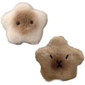 Miniatyrbilde 7 av 8: Capybara Star Plysjdukke Squeak Toy Cartoon Star nøkkelring Penda C onesize