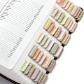 Miniatyrbillede 2 af 8: Bibel Faner 5PCS