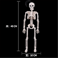 Pikkukuva 6 / 6: Posable Skeleton Halloween Decor Man Bone Creepy Party Decorat White onesize