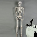 Pikkukuva 1 / 6: Posable Skeleton Halloween Decor Man Bone Creepy Party Decorat White onesize