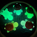 Miniatyrbillede 6 af 8: 5 stk Sanrio Resin Lysende Skildpadde Mikrolandskab Fe Have 5cm