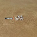 Miniatyrbild 2 av 5: 1 par ihålig bowknot öronben spik glansig fjärilsspiralstud OneSize