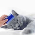 Miniatyrbillede 5 af 5: Sæt med 4 loppekamme til hunde og katte – tænder i rustfrit stål, plasthåndtag