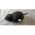 Pikkukuva 7 / 7: Sini pyörän vedenpitävä vuori Sini pyörän vedenpitävä c