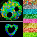 Miniatyrbilde 3 av 6: 50 stk Utomhus selvlysende steiner lyser i mørket hagestener - Perfekt Multicolor