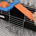 Miniatyrbillede 4 af 8: Rootz Pet Cage Rollable - Sort - Stål, Pp, Nylon - 35,03 cm x