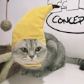 Miniatyrbild 1 av 10: /#/En bananformad katthatt som kan användas för/#/