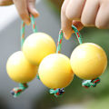 Pikkukuva 2 / 5: Shaker Rattle Double Gourd Polyrhythmic Percussion Instrument Musta