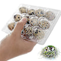 Miniatyrbild 2 av 5: 100 st 12 Fack Vakteläggkartong Återanvändbar Vakteläggsförpackning Äggbehållare Transparent Kylskåpsbehållare Mini Äggdispenser med Lock för Kylskåp