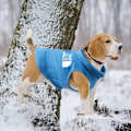Miniatyrbild 6 av 7: Vinter Hundkläder Fleece Hundväst Jacka För Små Medelstora Hundar Fransk Bulldogg Valp Hund Kattkläder Med Dragsko Grå L