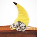 Miniatyrbild 4 av 10: /#/En bananformad katthatt som kan användas för/#/