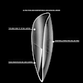 Miniatyrbilde 3 av 5: Born Beauty Nails 550st/kartong Oval Stiletto Mandel Square Heart C 7