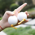 Pikkukuva 3 / 5: Shaker Rattle Double Gourd Polyrhythmic Percussion Instrument Musta