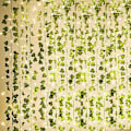 Pikkukuva 3 / 5: Keinotekoinen murattiseppele 12 kappaletta murattia, keinotekoinen roikkuva muratti 100 LED-valolla, häihin, juhliin, puutarhaan, parvekkeelle