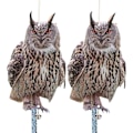 Miniatyrbild 1 av 5: Fågelskrämma med duvavvisande remsa Fågelavvisande Fågelskrämma Fågelskrämma Håll duvor katter kråkor borta från balkonger uteplatser fönster Set med 2 ugglor