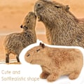 Pikkukuva 4 / 6: 20cm Simuloitu Capybara Pehmolelu, Söpö Eläin Capy Tyyny 20cm