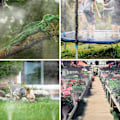 Miniatyrbillede 4 af 5: Vandslange Havevandslange Vandingsslange Timer Timer til Haveanlæg Plantealtan Grøntsagsbevandingstiming Vandingsregulator