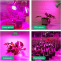 Miniatyrbild 2 av 5: Led Hortikulturell Ljus Full Spectrum E27 Inomhusplantering För Inomhusväxthus Och Trädgårdar