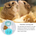 Pikkukuva 8 / 8: Hamsterpallo, 14,5 cm läpinäkyvä hamsterin juoksupallo Blue