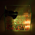 Miniatyrbillede 5 af 5: Undervandsdamlys 36 LED Farveskiftende Spotlys til Vandakvarium Have Dam P