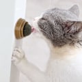 Miniatyrbild 4 av 6: Kattdoftande leksak, roterande kattmyntaboll, säker och hälsosam