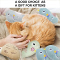 Miniatyrbild 5 av 5: Pcs Catnip Leksaker, Söta Katt Leksak Mjuk Plysch Leksak Style1