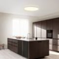 Miniatyrbilde 6 av 6: 24W LED taklampe dimmbar 3000K/4000K/6000K varm hvit kald hvit Ø30cm