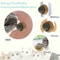 Miniatyrbild 6 av 6: Kattdoftande leksak, roterande kattmyntaboll, säker och hälsosam