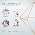 Pikkukuva 4 / 5: 12 kpl:n ilmakasvitelineen mini metallipöytäkoriste, moderni geometrinen istutuskone, Tillandsia-näyttöteline
