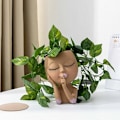 Miniatyrbilde 1 av 5: Ansiktsplanter Potte - Hodeplanter, Sukkulentplantere, Ansikts Blomsterpotte Hodeplanter, Hagedekor for Innendørs og Utendørs Planter med