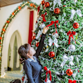Miniatyrbilde 4 av 5: Sett med julekule - Julepynt & Juledekorasjoner