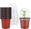 10-pack Transparenta Isolerade Odlingkrukor med Lock - Plastfrökrukor för Blommor & Växter brun