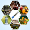 Miniatyrbild 5 av 5: Digital pH-mätare för vatten, 0,01ph, hög noggrannhet, pennmodell, pH-testare för hydroponics, mätintervall 0-14 pH, vattentestare för hem, pooler och akvarier