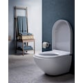 Miniatyrbillede 3 af 3: Toiletlåg, toiletsæde, tilbehør til toiletsæde