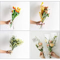 Miniatyrbild 4 av 5: Transparent Cellofanpapper, Florist Cellofanrulle Presentpapper