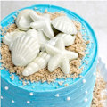 Miniatyrbillede 4 af 4: Seashells Skal Søstjerne Silikoneform Mint
