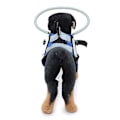 Miniatyrbillede 2 af 3: Sele til blinde hunde Beskyttende vest Hunde Forebygger kollisionsring