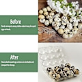 Miniatyrbilde 5 av 5: 100 stk 12 Ruters Vaktel Eggboks Gjenbrukbare Vaktel Eggkartonger Eggbeholder Transparent Kjøleskapsbeholder Mini Eggdispenser med Lokk for Kjøleskap