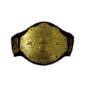 WWE-mästarbälte, metalliskt, O