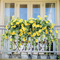 Miniatyrbilde 2 av 3: Kunstig Petunia i Rattan for Utendørs/Innendørs Bruk{GKS} (yellow)
