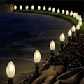Miniatyrbild 5 av 5: Pallerina C7 LED Julbelysning 7,6 m Flerfärgad Julgransljusslinga Frosted White